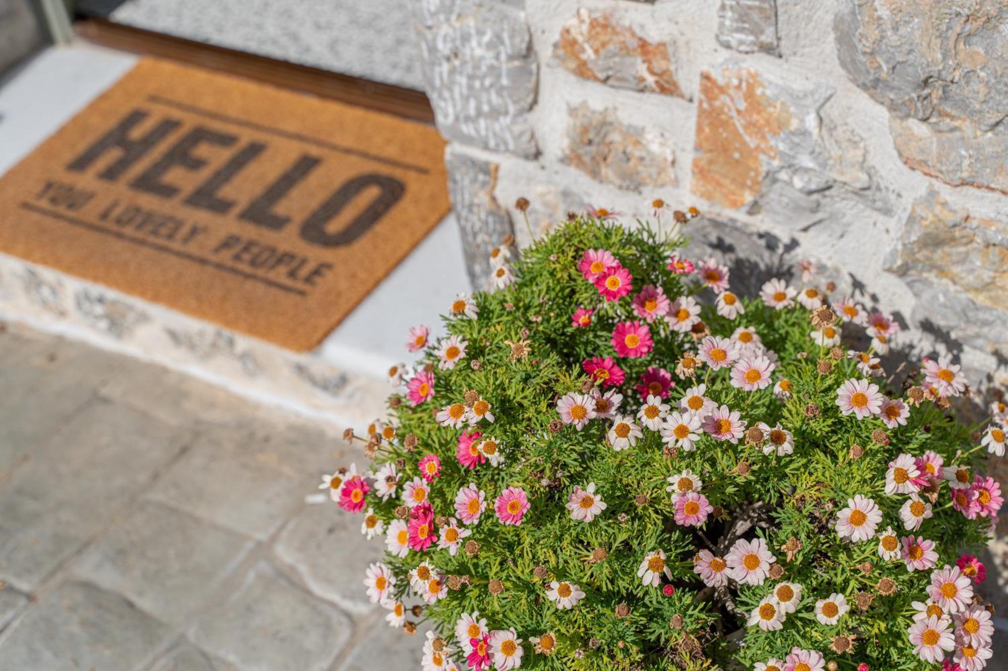 Villa Rosa - Luxury Villas With Panoramic Views Lagoudi Zia エクステリア 写真